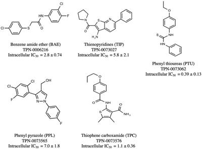 Identification of Novel Chemical Scaffolds that Inhibit the Growth of Mycobacterium tuberculosis in Macrophages